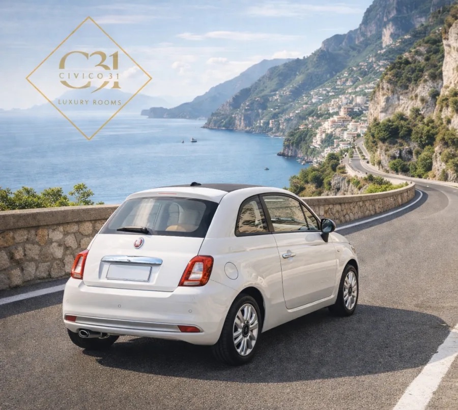 Car rental